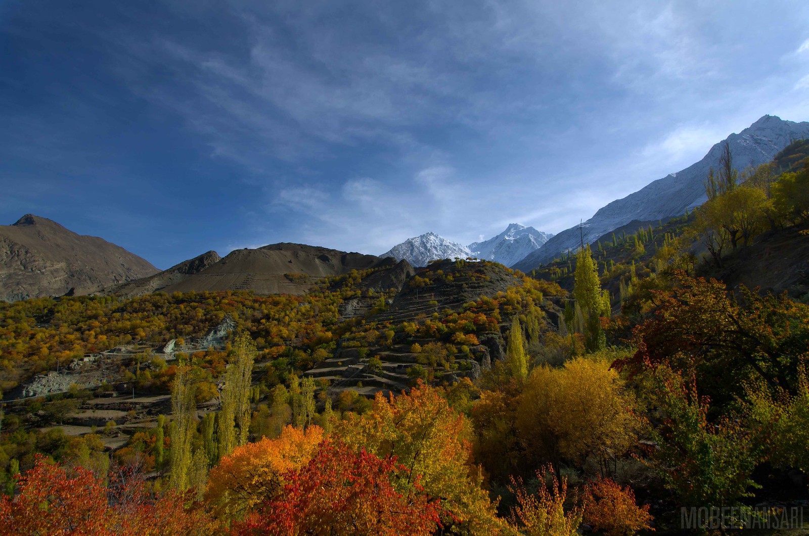 Fall Colours in Hoper Valley - Nagar District Pakistan